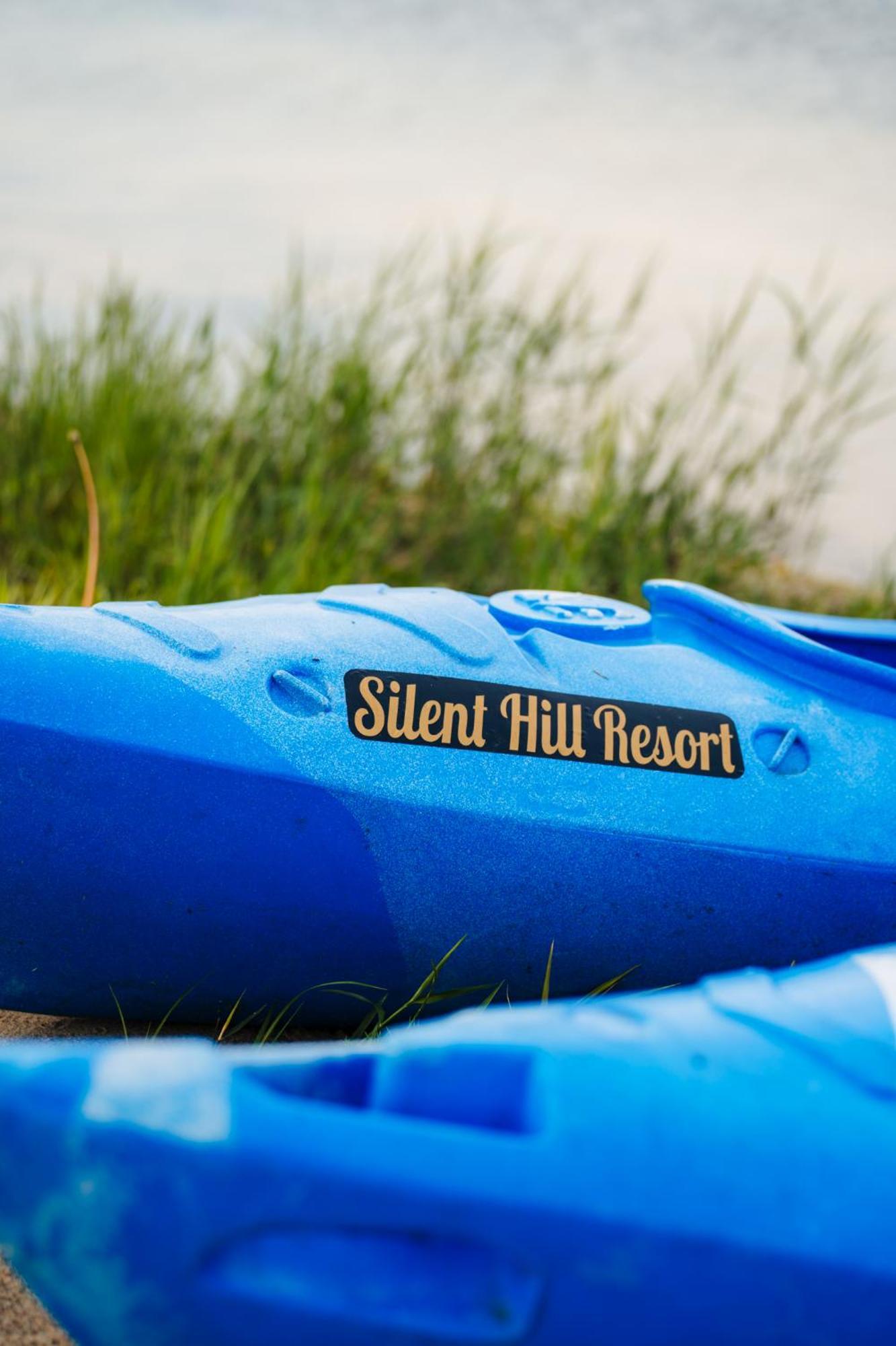 Silent Hill In Probark Holiday home